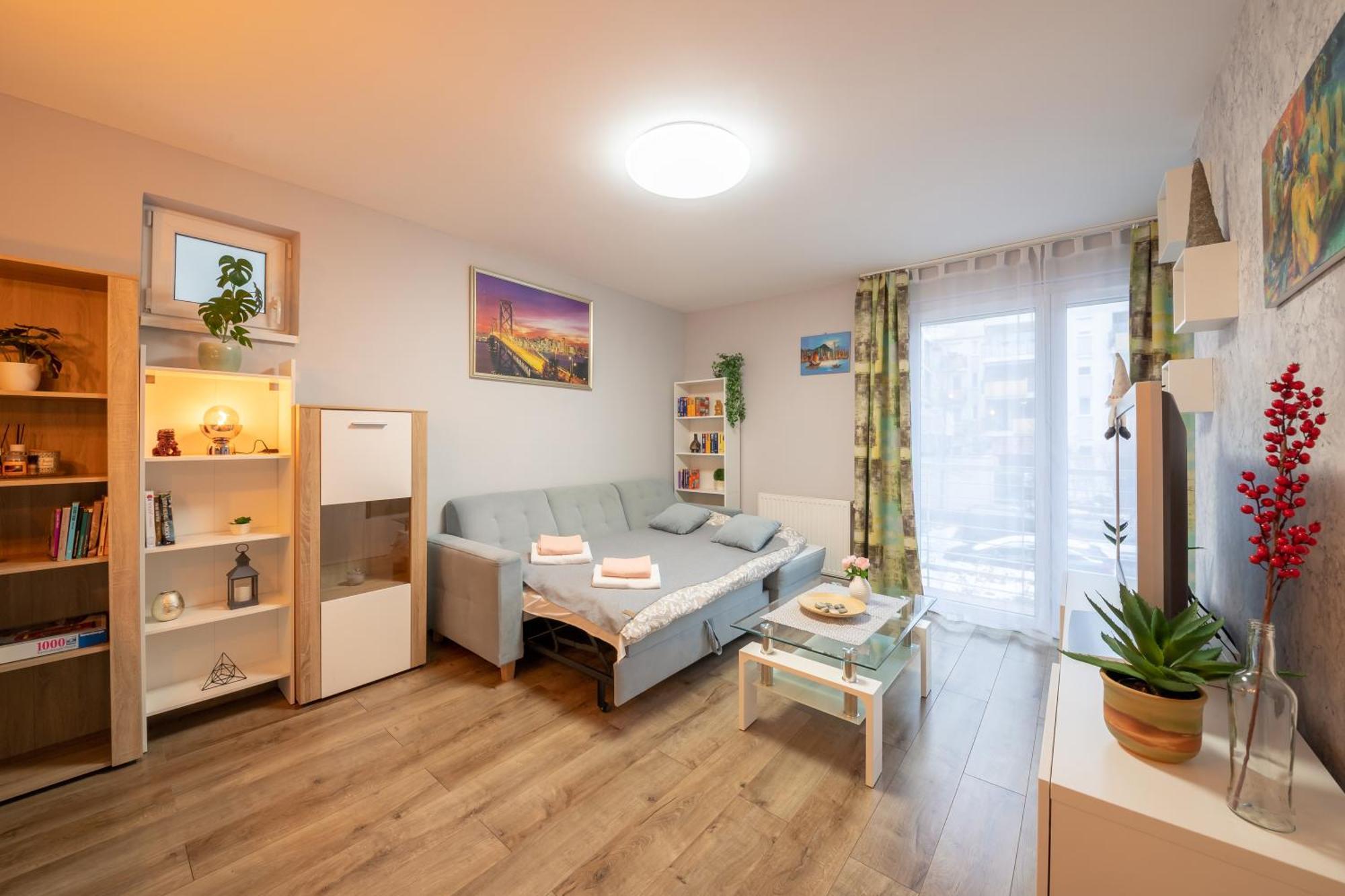 Center Budget Apartment Inside Free Parking Self Check-In Free Streaming Ac Balcony Budapest Luaran gambar